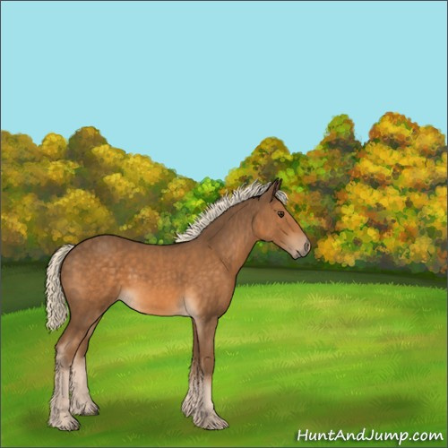 Horse Color:Chocolate Palomino 