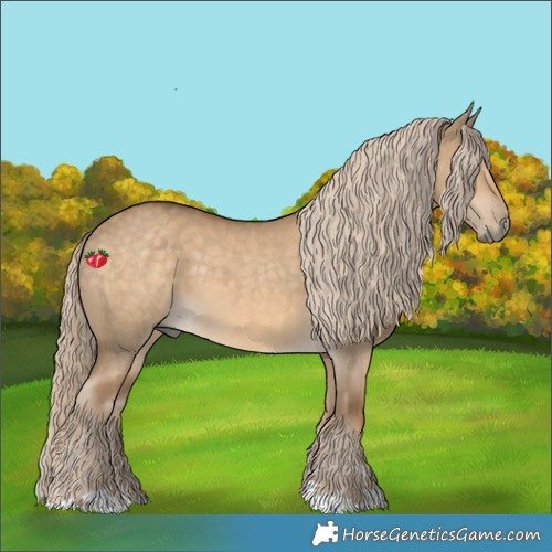 Horse Color:Chocolate Palomino Dun 