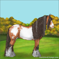 Horse Color:Bay Blanket  and Bay Frame Blanket 
