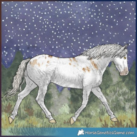 Horse Color:White Spotted Chocolate Palomino Dun Splash Blanket Rabicano Brindle 