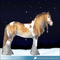 Horse Color:Chocolate Palomino Onyx Tobiano Brindle
