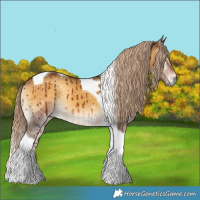 Horse Color:Chocolate Palomino Onyx Tobiano Brindle 