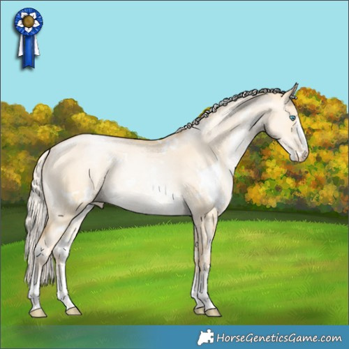 Horse Color:White Spotted Silver Buckskin Pearl Dun Sabino 