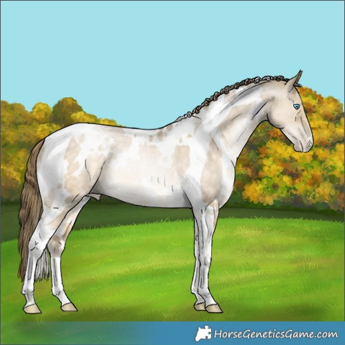 Horse Color:White Spotted Buckskin Pearl Dun Tobiano Rabicano 