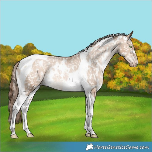 Horse Color:White Spotted Bay Pearl Dun Tobiano Appaloosa Rabicano 