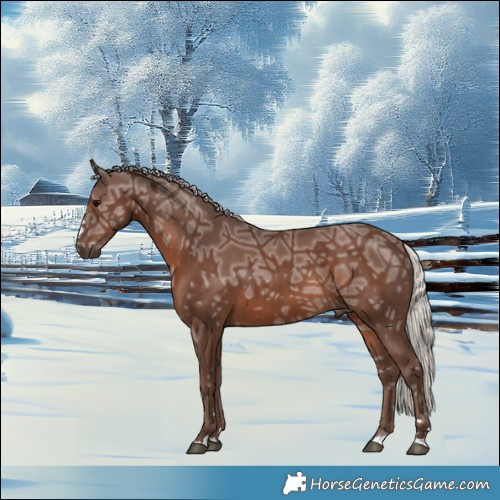 Horse Color:Silver Black Ice 