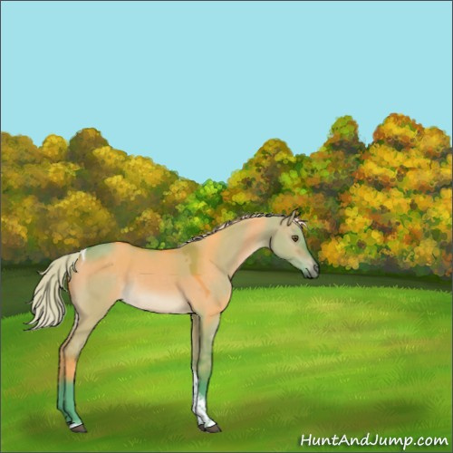Horse Color:Watercolor Silver Brown Dun Tobiano Rabicano 