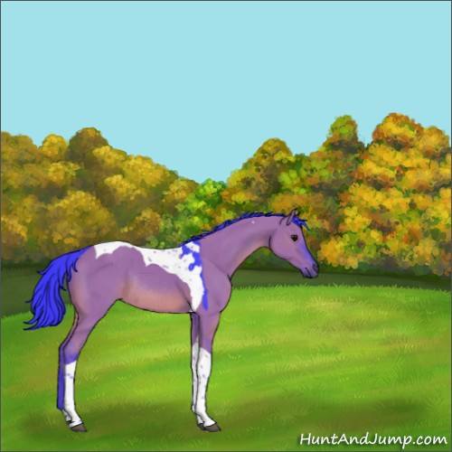 Horse Color:Watercolor Grullo Tobiano Rabicano 