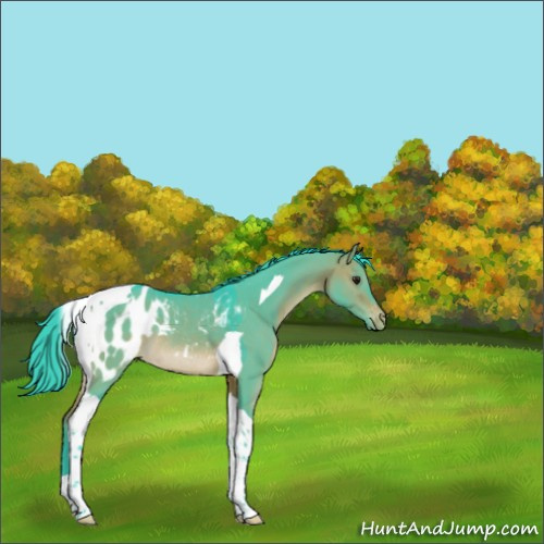 Horse Color:Watercolor Brown Dun Tobiano Appaloosa Rabicano 