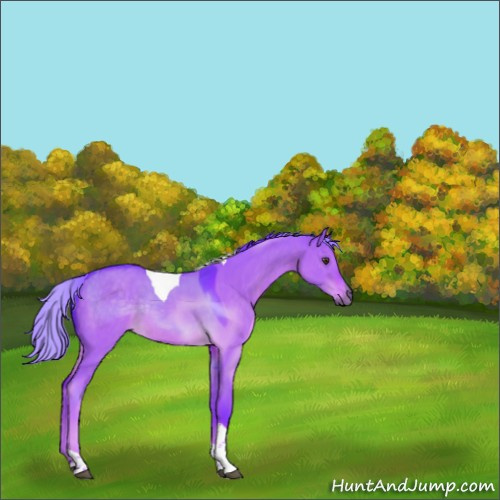 Horse Color:Watercolor Liver Red Dun Tobiano Rabicano 