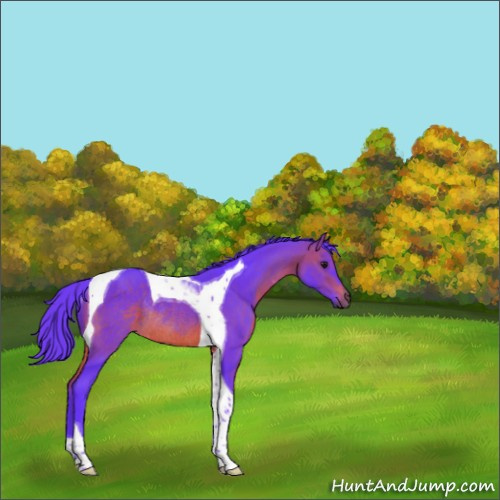Horse Color:Watercolor Brown Tobiano Rabicano 