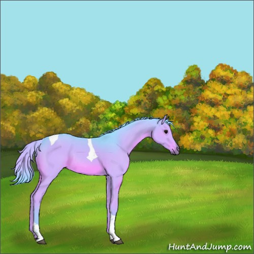 Horse Color:Watercolor Grullo Tobiano Rabicano 