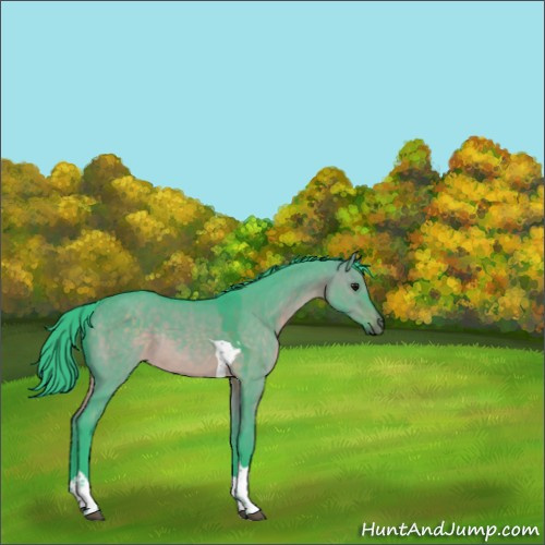 Horse Color:Watercolor Brown Dun Tobiano Rabicano 