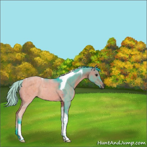 Horse Color:Watercolor Brown Dun Tobiano Rabicano 