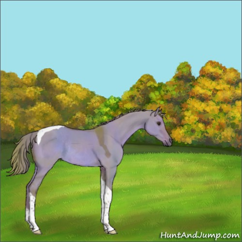 Horse Color:Watercolor Liver Red Dun Tobiano Rabicano 