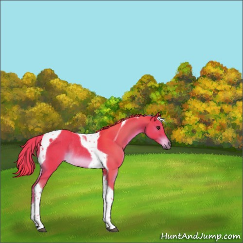 Horse Color:Watercolor Liver Chestnut Tobiano Rabicano 