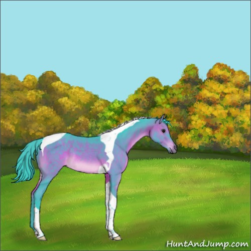 Horse Color:Watercolor Brown Tobiano Rabicano 