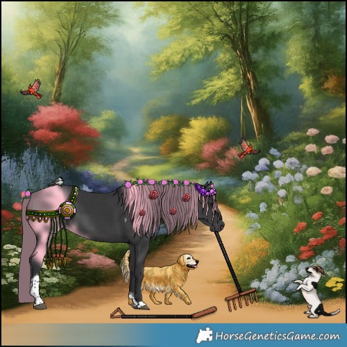 Horse Color:Black Tobiano Rabicano 