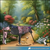 Horse Color:Black Tobiano Rabicano 