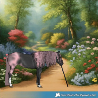 Horse Color:Black Tobiano Rabicano 