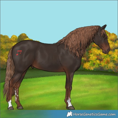 Horse Color:Liver Chestnut Sabino 