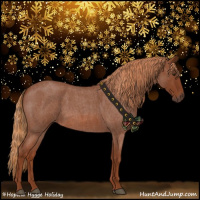 Horse Color:Red Roan 
