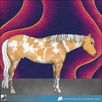 Horse Color:White Spotted Silver Buckskin 