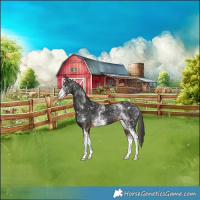 Horse Color:White Spotted Liver Chestnut Varnish