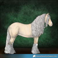 Horse Color:Silver Buckskin Roan Splash
