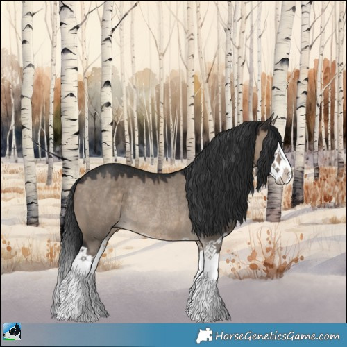 Horse Color:Brown Dun Splash Rabicano