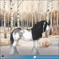 Horse Color:Brown Dun Sabino Splash Rabicano Brindle 