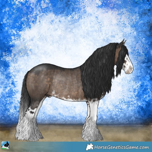 Horse Color:Brown Dun Sabino Splash Rabicano 