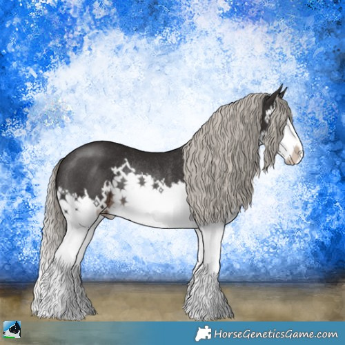 Horse Color:Liver Chestnut Mushroom Sabino Splash Rabicano 