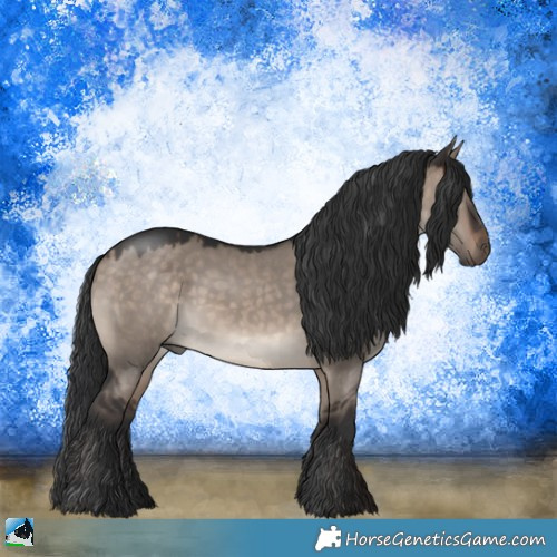 Horse Color:Brown Dun Mushroom Rabicano 