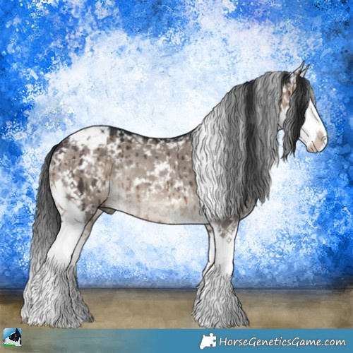 Horse Color:Brown Dun Mushroom Sabino Splash Rabicano Brindle 