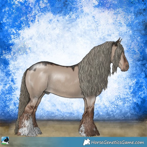 Horse Color:Liver Red Dun Mushroom Sabino Rabicano 