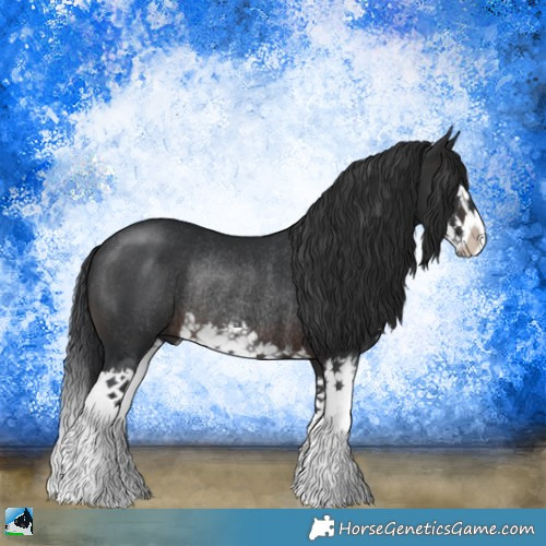 Horse Color:Brown Mushroom Sabino Splash Rabicano 