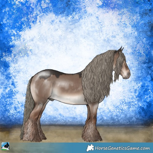 Horse Color:Liver Red Dun Mushroom Rabicano 