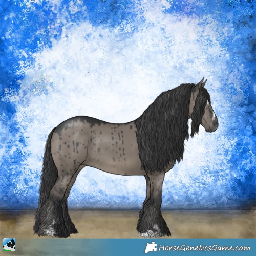 Horse Color:Grullo Mushroom Sabino Rabicano Brindle 