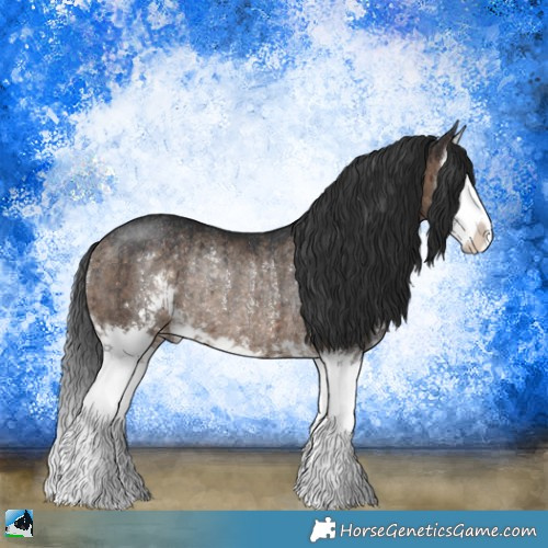 Horse Color:Brown Dun Sabino Splash Rabicano Brindle 