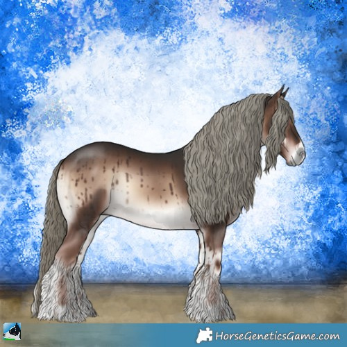 Horse Color:Liver Red Onyx Mushroom Sabino Rabicano 