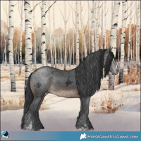 Horse Color:Brown Ice Sabino Rabicano 