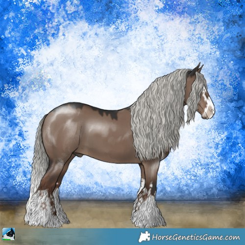 Horse Color:Liver Red Dun Mushroom Sabino Splash 