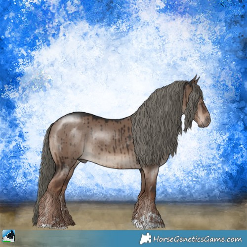 Horse Color:Liver Red Dun Mushroom Sabino Rabicano Brindle 