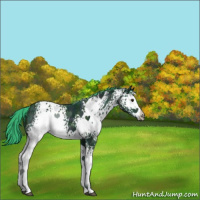 Horse Color:Watercolor White Spotted Midnight Black Chinchilla Ice 