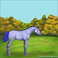 Horse Color:Watercolor Grullo Chinchilla Ice 