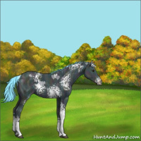 Horse Color:Watercolor White Spotted Midnight Smoky Black Chinchilla Ice 