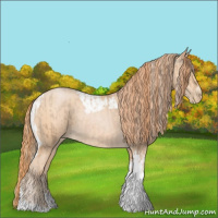 Horse Color:Chocolate Palomino Pearl Tobiano Frame and Buckskin Pearl Tobiano