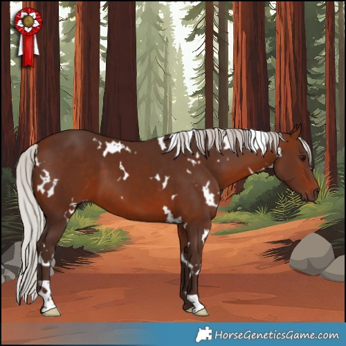 Horse Color:White Spotted Silver Brown 