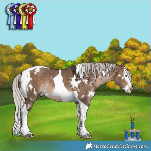 Horse Color:White Spotted Silver Brown Dun Splash Tobiano 